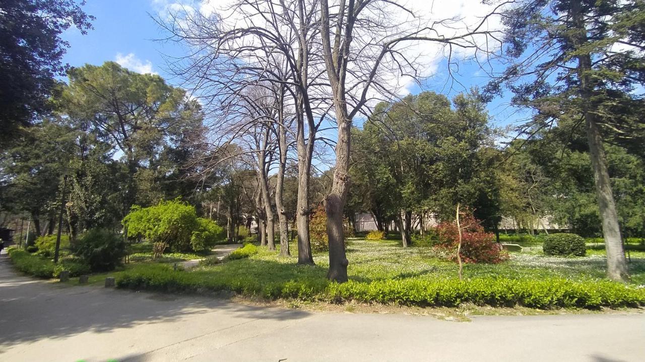 Apartment Antique Zadar - City Center Eksteriør bilde